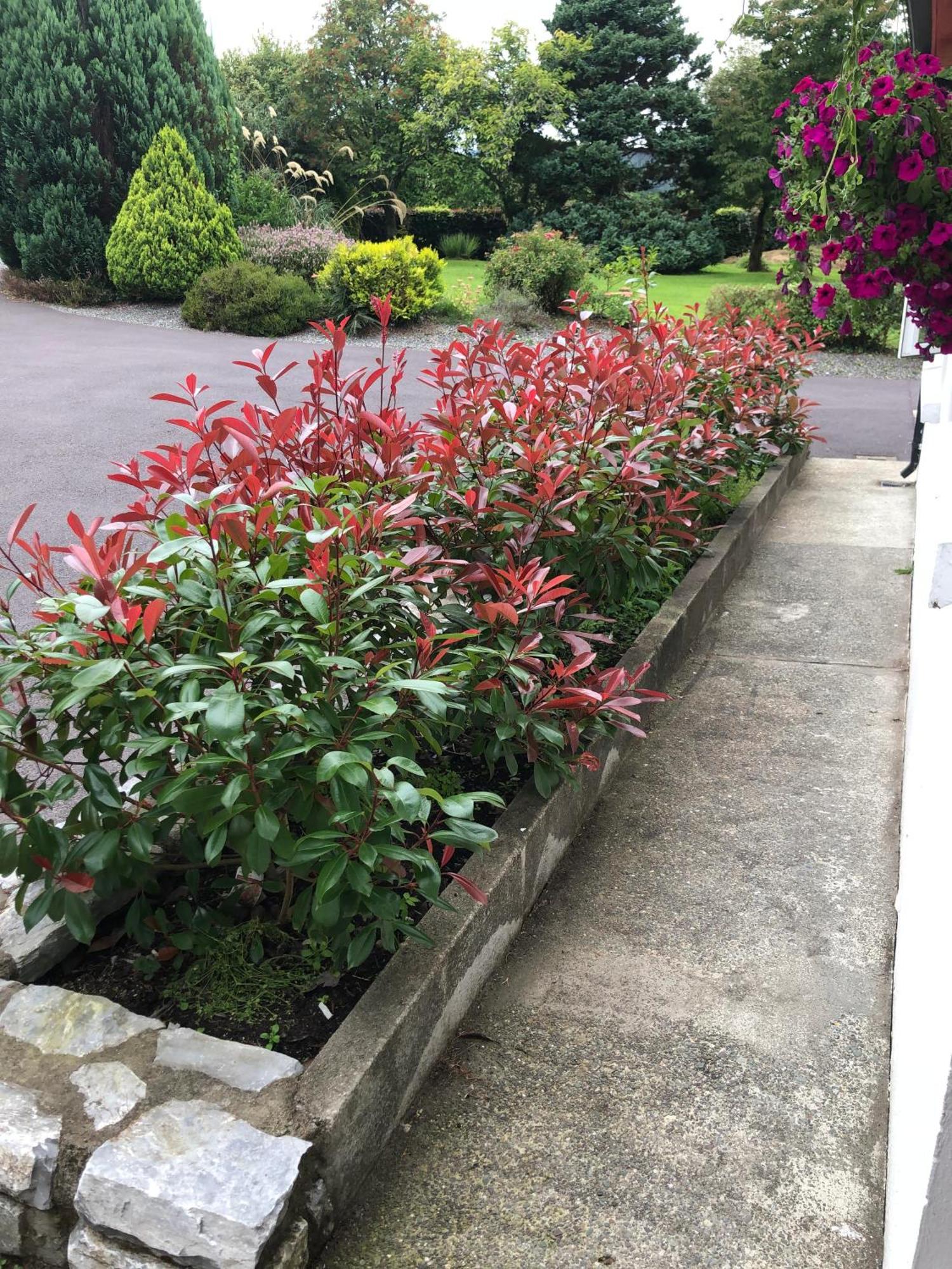 An Bruachan B&B ケンメア エクステリア 写真